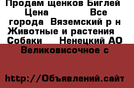 Продам щенков Биглей › Цена ­ 15 000 - Все города, Вяземский р-н Животные и растения » Собаки   . Ненецкий АО,Великовисочное с.